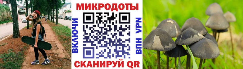 Псилоцибиновые грибы Magic Shrooms  купить наркотик  мега ссылка  Гурьевск 