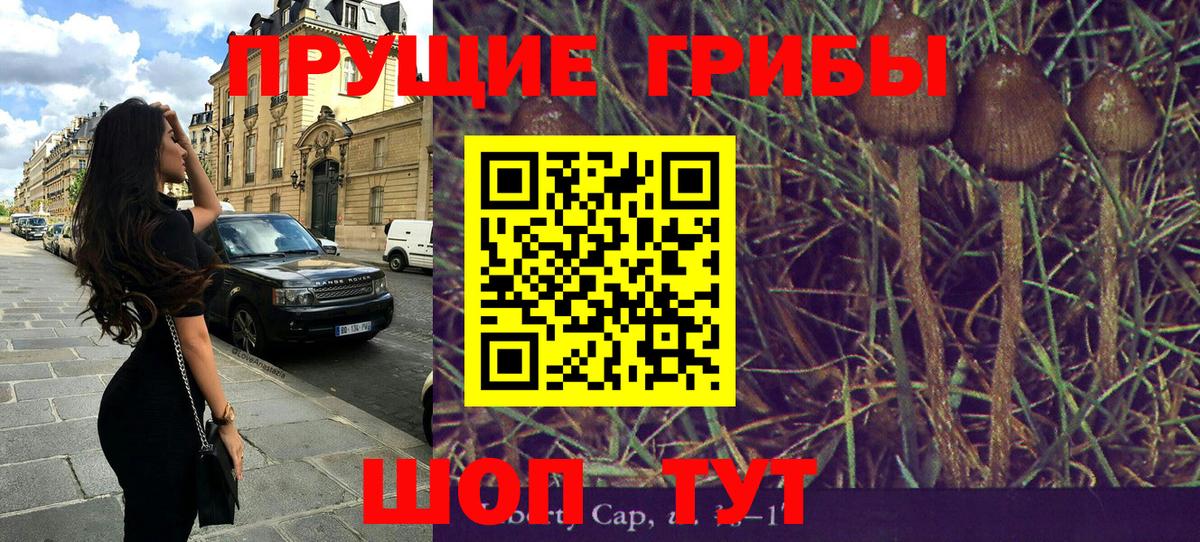 Псилоцибиновые грибы Magic Shrooms  Вход с VPN  Гурьевск 