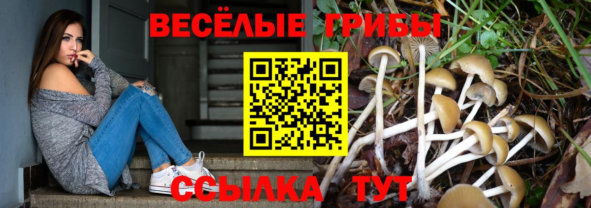 Псилоцибиновые грибы Psilocybine cubensis Гурьевск